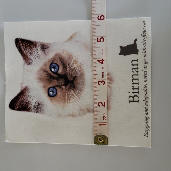 Birman Cat Iron On White Cat Fluffy Cat - Picture 3 of 6